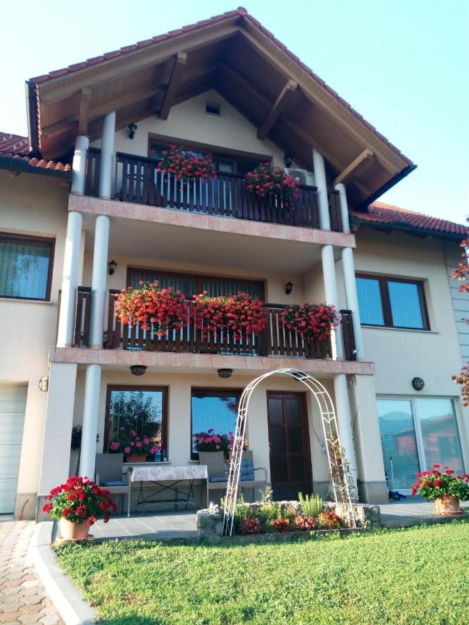 Dolenjska Vila Zuzemberk Екстериор снимка