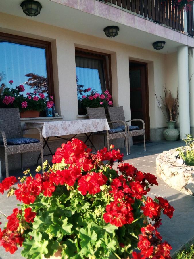 Dolenjska Vila Zuzemberk Екстериор снимка